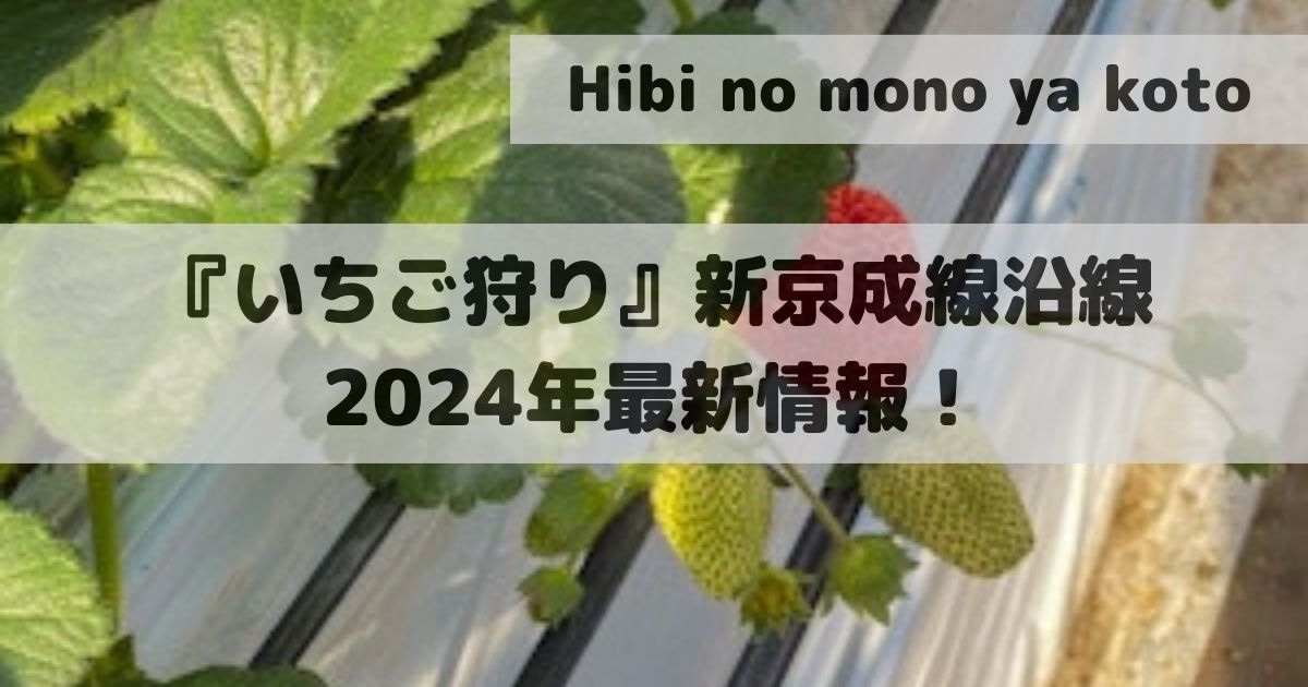 Strawberry picking Shin-Keisei Line 2024 latest information